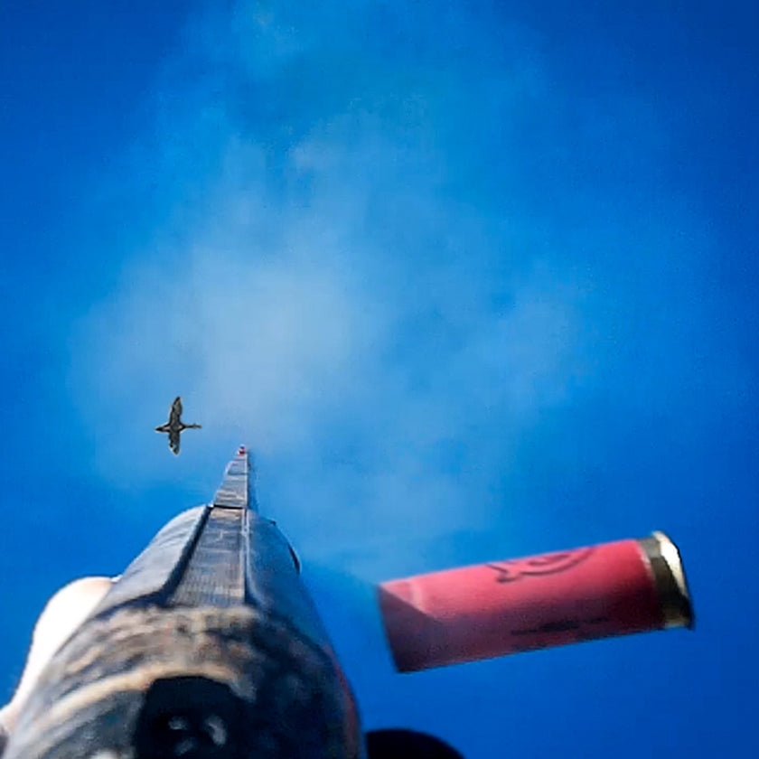 PRO2i - Flash Sale Price!